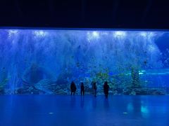 -波塞冬海底世界