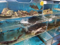 -胖姐渔村(中源大道店)