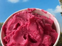 -老字号李姐炒冰(夏日百货店)