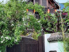 -慢丽江·云南野生菌土鸡锅(西山店)