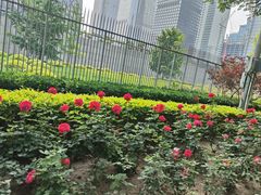-中央广播电视总台(光华路办公区)