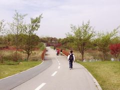 -尚贤河湿地