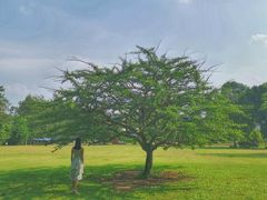 -华南国家植物园-售票处