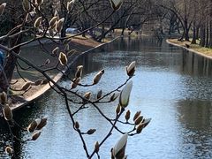 -上海共青森林公园