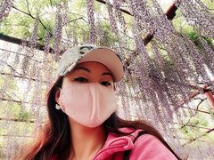 -嘉定紫藤园