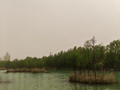 -泗洪洪泽湖湿地景区