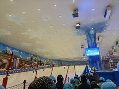 -长沙湘江冰雪世界