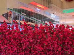 -米莱欧百货(吉利店)