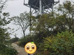 -南京老山国家森林公园