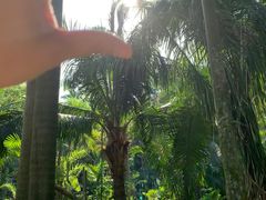 -华南国家植物园-售票处