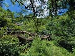 -秦岭天竺山生态文化旅游景区