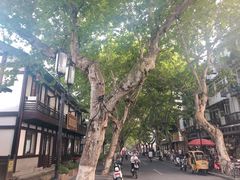 -兰边碗(鼓楼店)