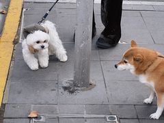 -安福路