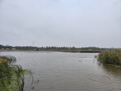 -春花秋色城市公园
