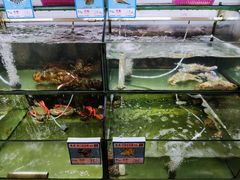 水产区-龙湾海鲜渔村餐厅(亚龙湾店)