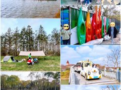 -上海海湾国家森林公园