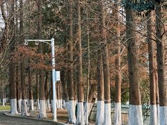 -南昌青山湖风景区