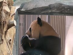 -秦皇岛野生动物园