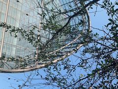 -南山植物园