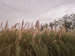 -东湖落雁景区