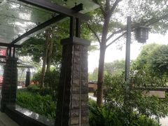 -王借岗森林公园