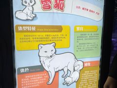 -上海海昌海洋公园-冰山北极馆