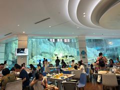 -帝企鹅自助餐厅•儿童岛•真企鹅(长隆企鹅酒店)