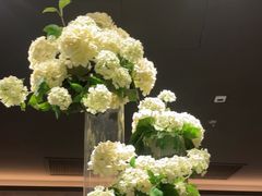 -華府Deluxe(兴业太古汇店)