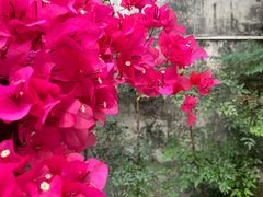 -东坊味道私房菜·地道顺德菜(大良店)