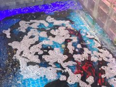 -山河屯铁锅炖鲜鹅·东北菜(开发区一店)