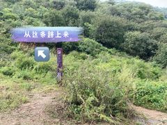 -阳台山自然风景区