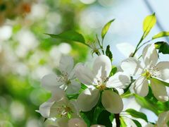 -野鸭湖国家湿地公园