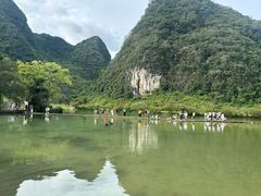 -靖西鹅泉风景区