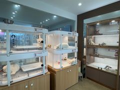 -翊宠yipet猫狗购宠庄园犬舍•猫舍