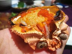 -樱之盛宴·蟹料理海鲜自助(前进大街店)