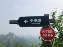 -大岭沟猕猴桃谷风景区