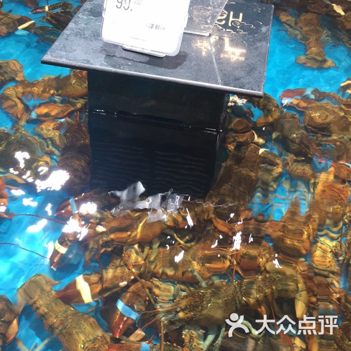盒马鲜生龙虾图片-北京海鲜-大众点评网