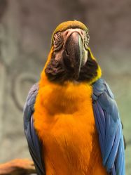 -Zoolung Zoolung动物主题公园(海信广场店)