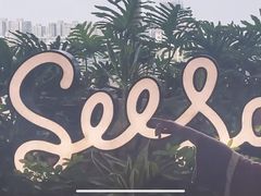 -Seesaw Coffee(朝阳大悦城店)