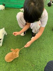 -萌宠亲子动物乐园(槐房万达店)