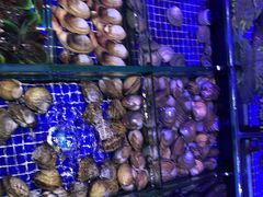 -青蓬蒸汽海鲜·深圳老字号·团建聚会(壹方城店)