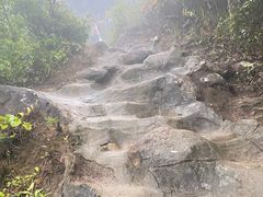 -梧桐山风景名胜区