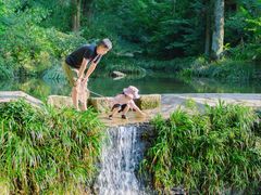 -素山寺森林公园