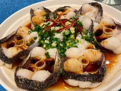 葱油有机鱼片-老淳安—伴山伴湖(千岛湖开元度假村店)