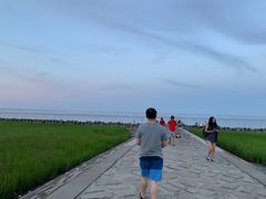 -南汇嘴观海公园