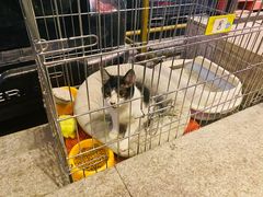 -米彩料理(西丽店)