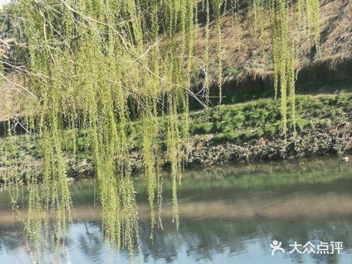 坝河休闲公园图片