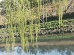 -坝河休闲公园