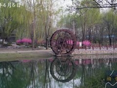 -北坞公园
