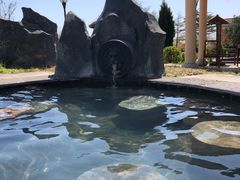 -青岛海泉湾度假区温泉